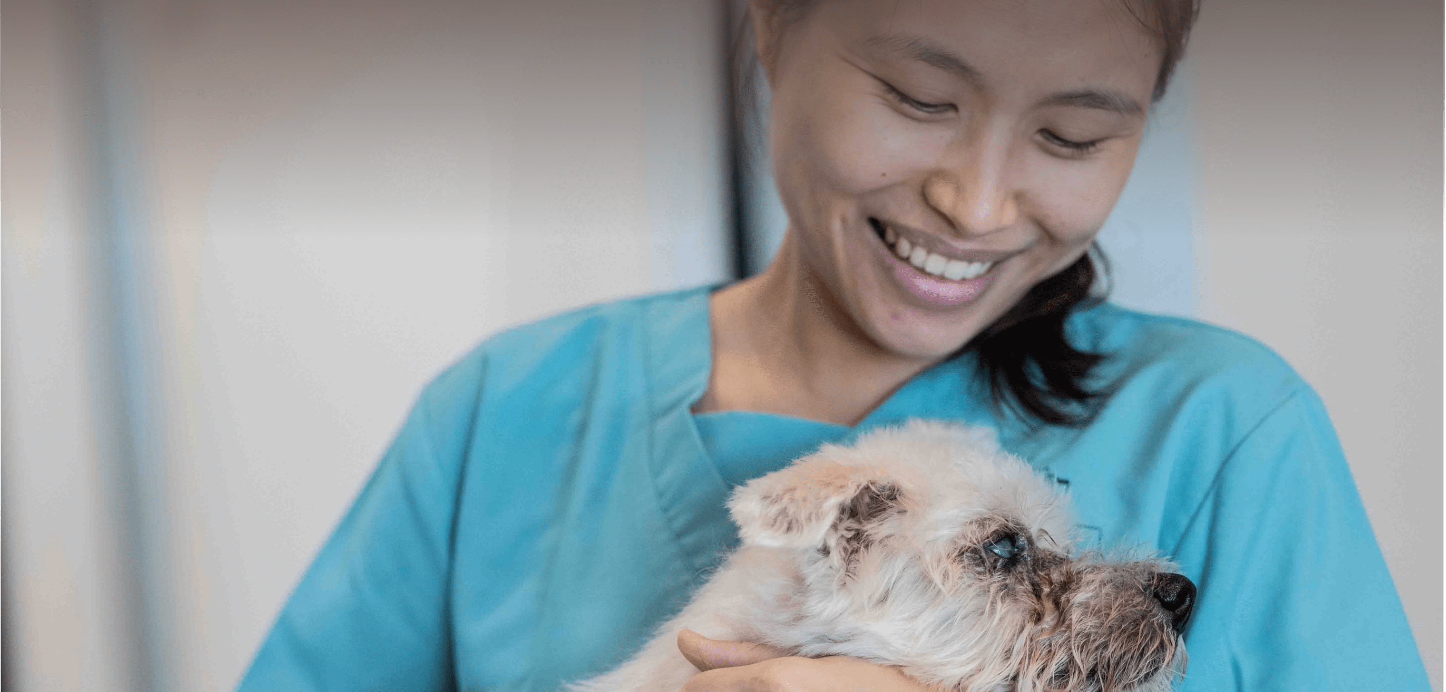 Emergency Animal Clinic, Private Hospital, Hospice| The Gentle Vet